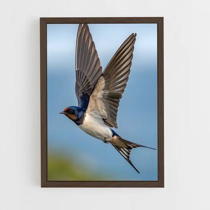 ap-swallow-5 cadre Bois foncé