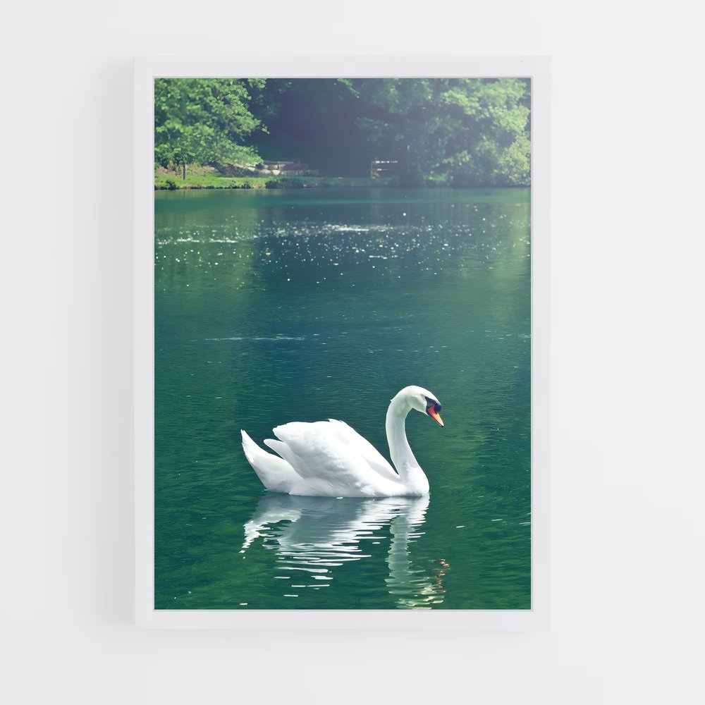 ap-swan-1 cadre Blanc
