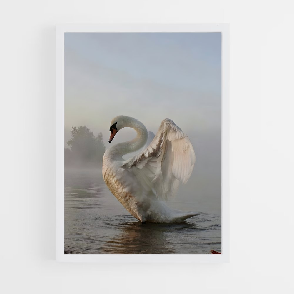 ap-swan-4 cadre Blanc