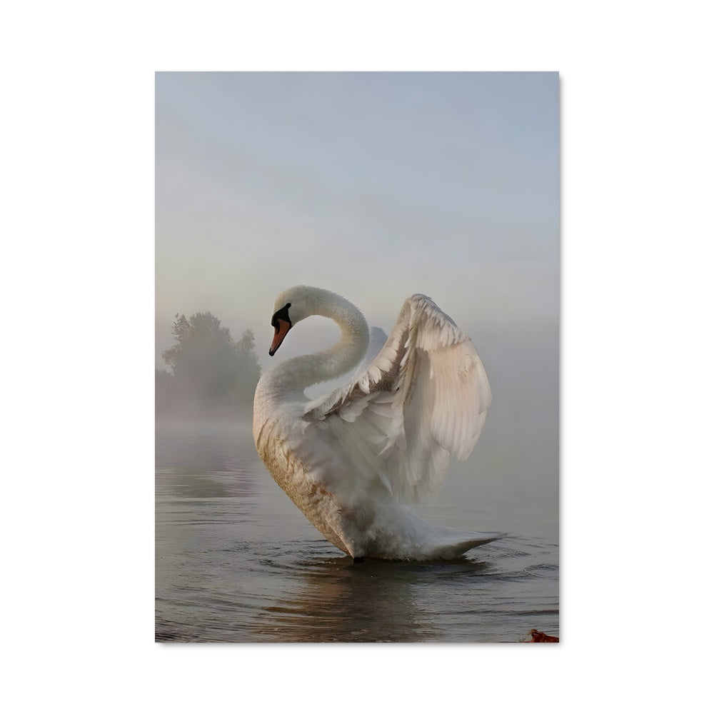 Poster Grâce Élégante