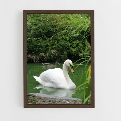 ap-swan-5 cadre Bois foncé