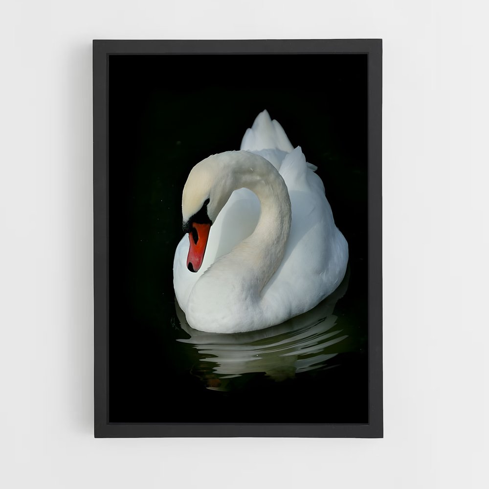 ap-swan-9 cadre Noir