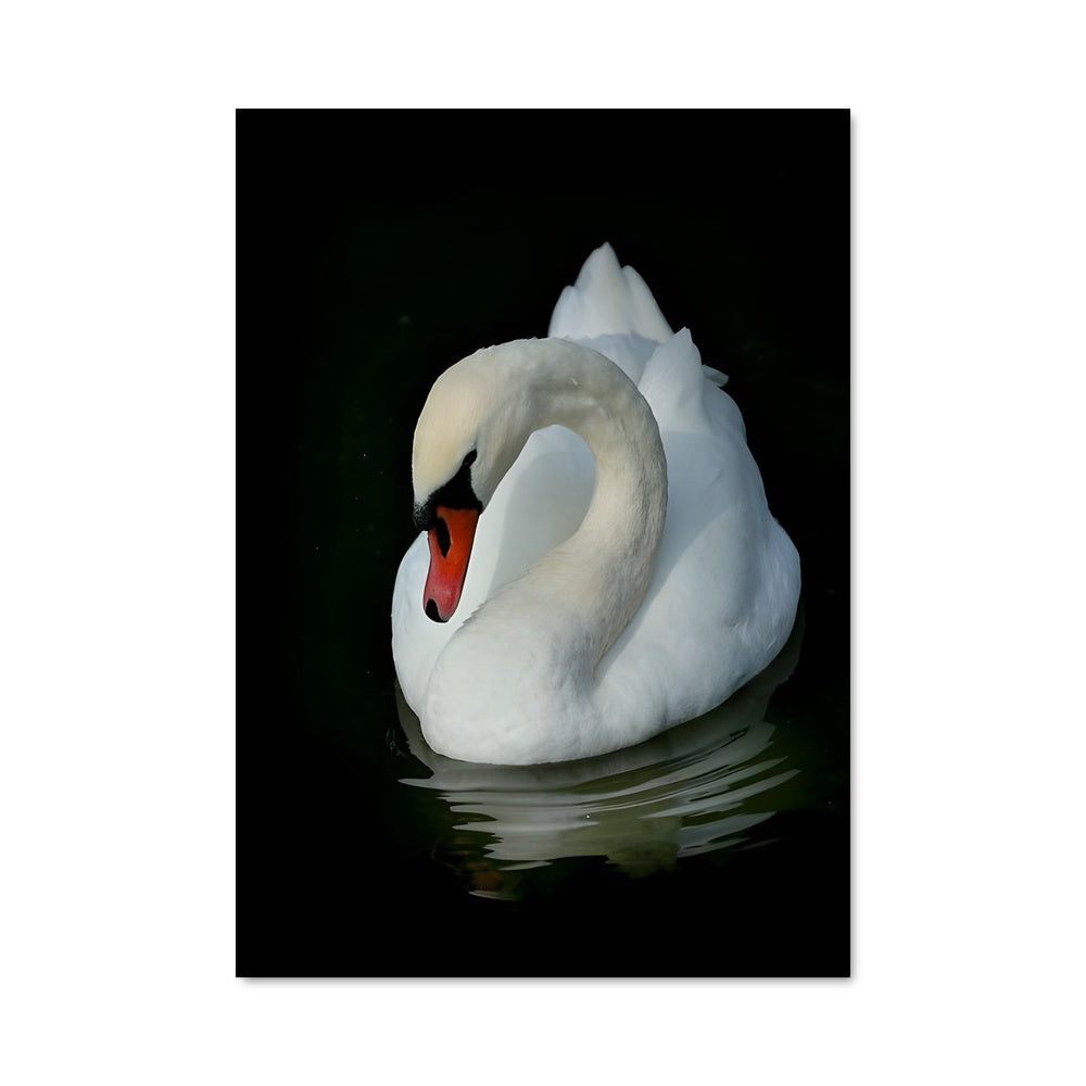 Poster Grâce Céleste