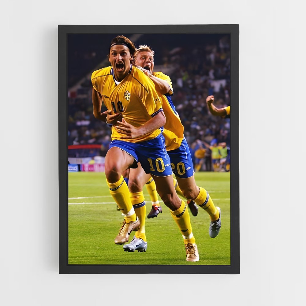 ap-sweden national football team-1 cadre Noir