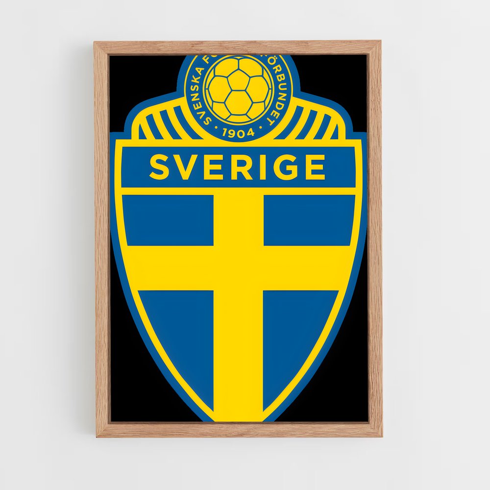 ap-sweden national football team-3 cadre Bois clair