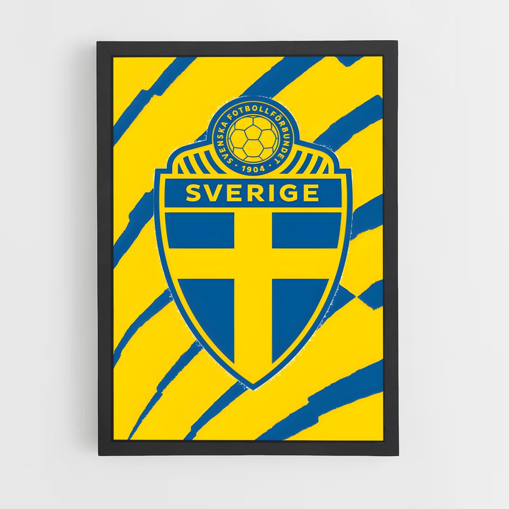 ap-sweden national football team-6 cadre Noir