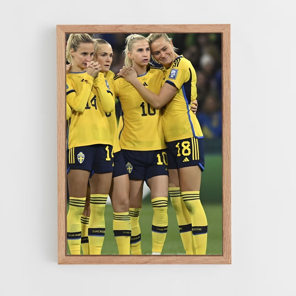 ap-sweden national football team-7 cadre Bois clair