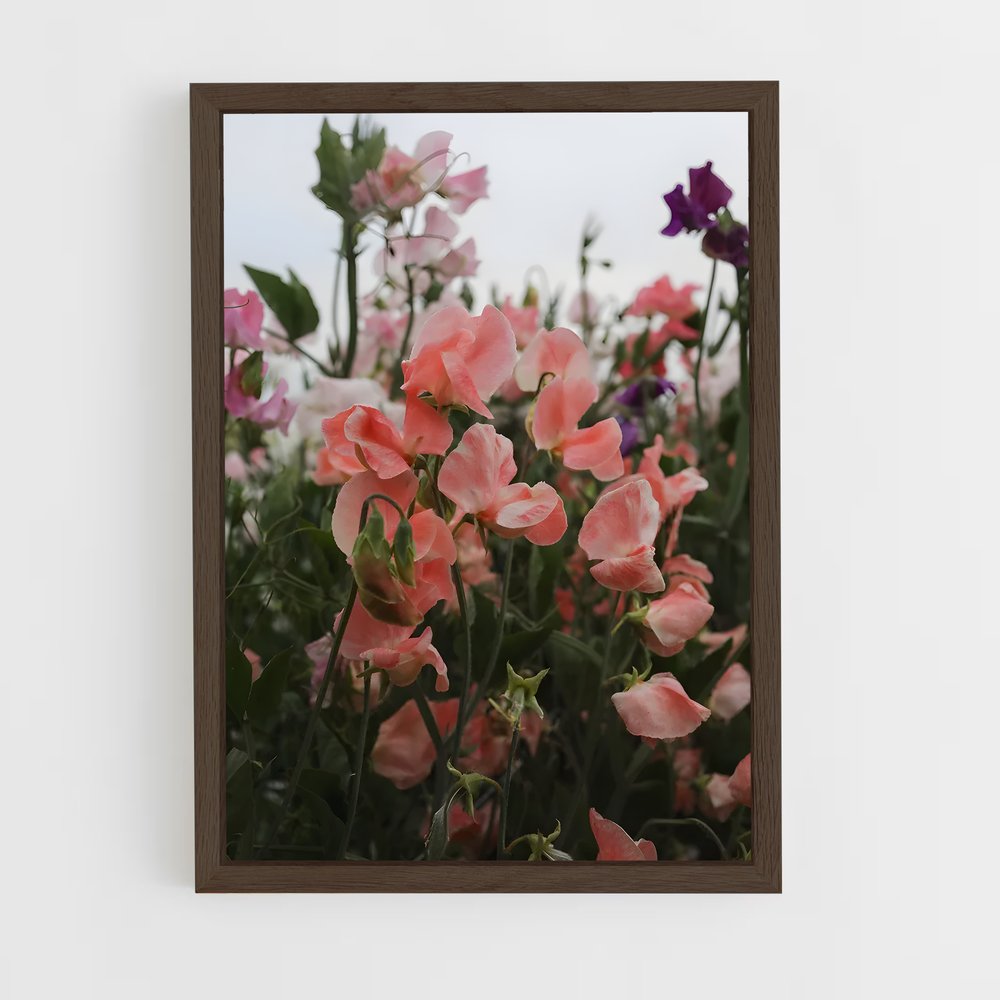 ap-sweet pea-2 cadre Bois foncé