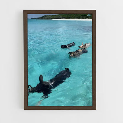 ap-swimming pigs beach-6 cadre Bois foncé