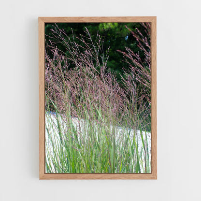 ap-switchgrass-1 cadre Bois clair