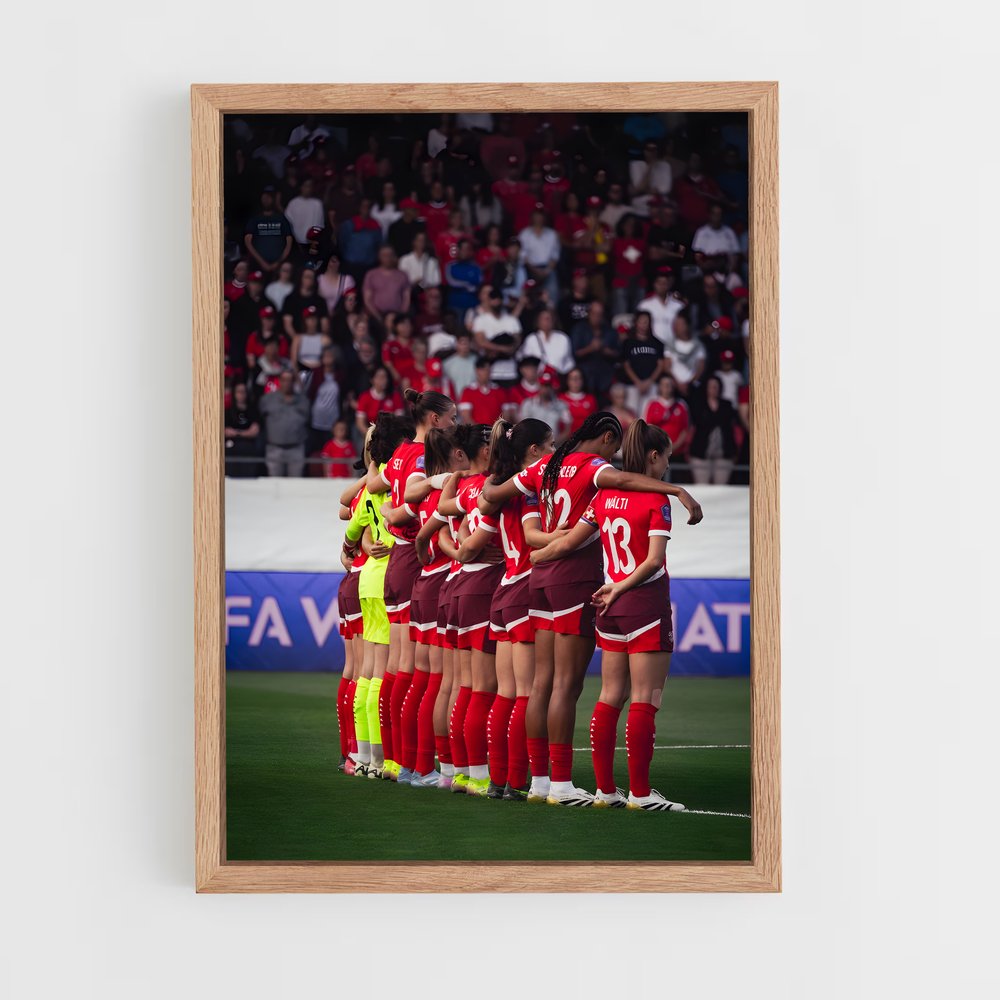 ap-switzerland national football team-1 cadre Bois clair