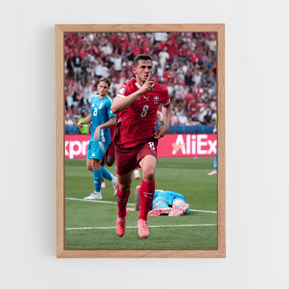 ap-switzerland national football team-3 cadre Bois clair