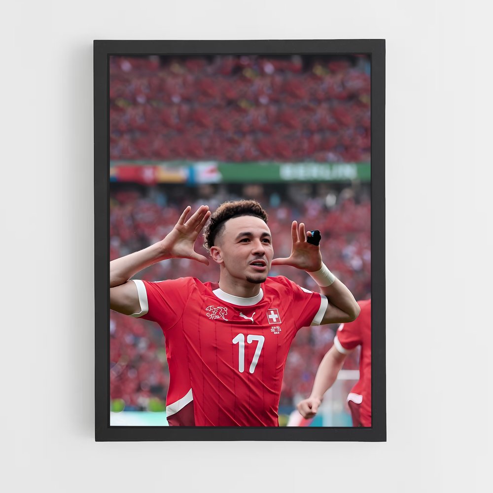 ap-switzerland national football team-7 cadre Noir