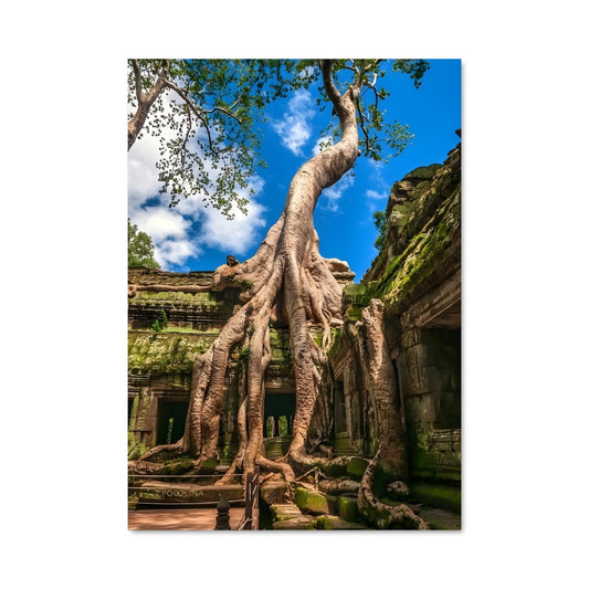 Poster L'Arbre de Ta Prohm