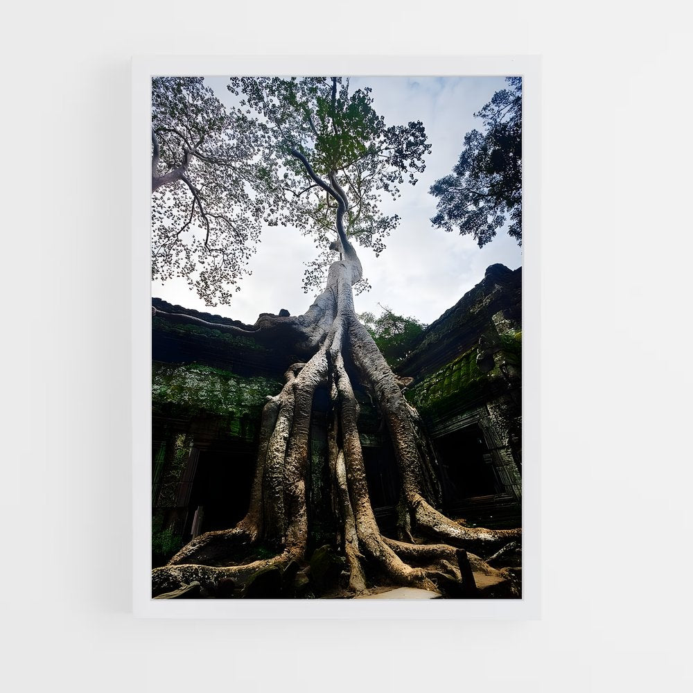ap-ta prohm-3 cadre Blanc