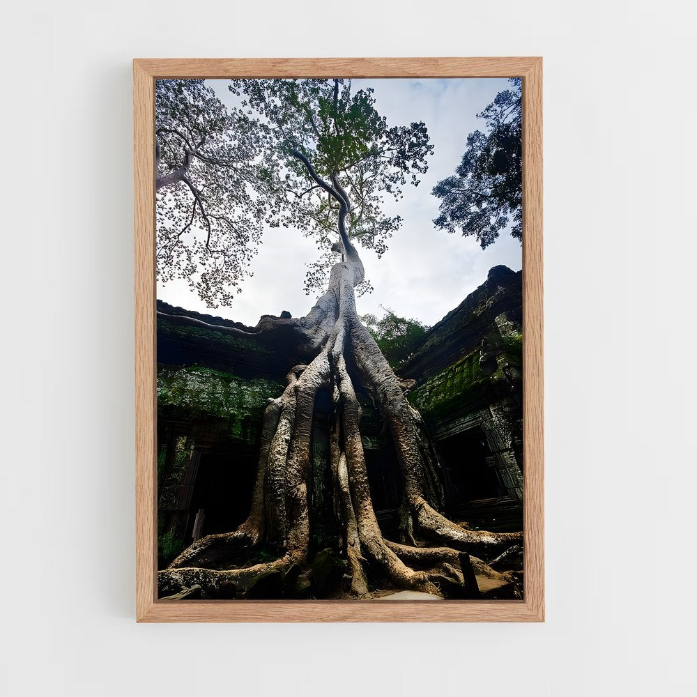 ap-ta prohm-3 cadre Bois clair