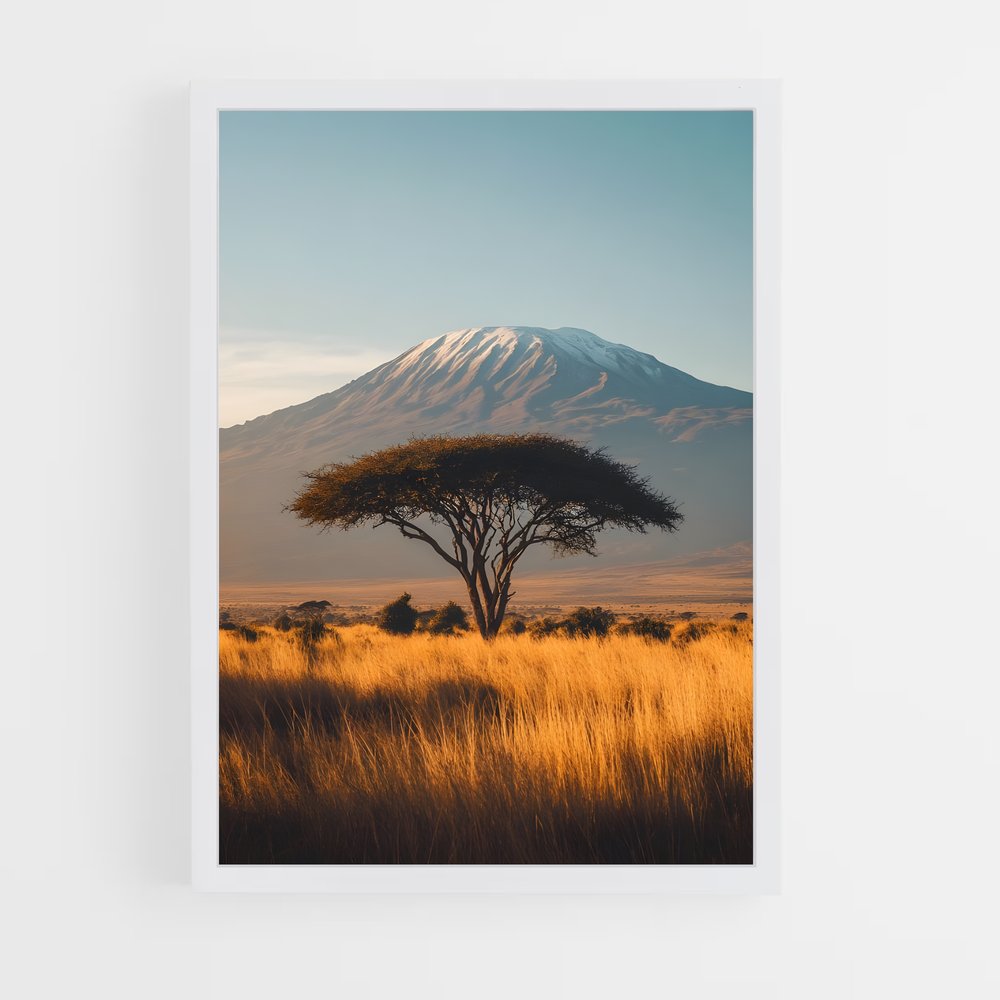 ap-tanzania-3 cadre Blanc