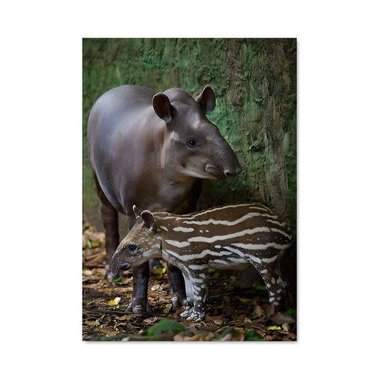 Poster Douceur Sylvestre