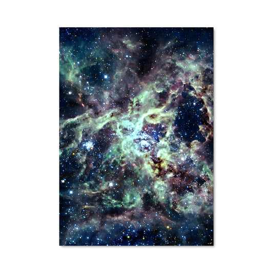 Poster La Nébuleuse Tara