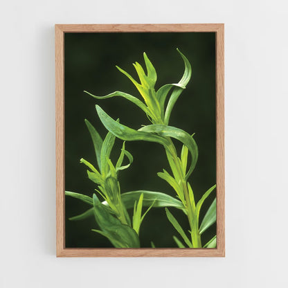 ap-tarragon-1 cadre Bois clair