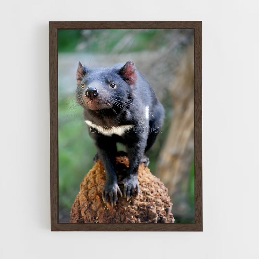 ap-tasmanian devil-3 cadre Bois foncé