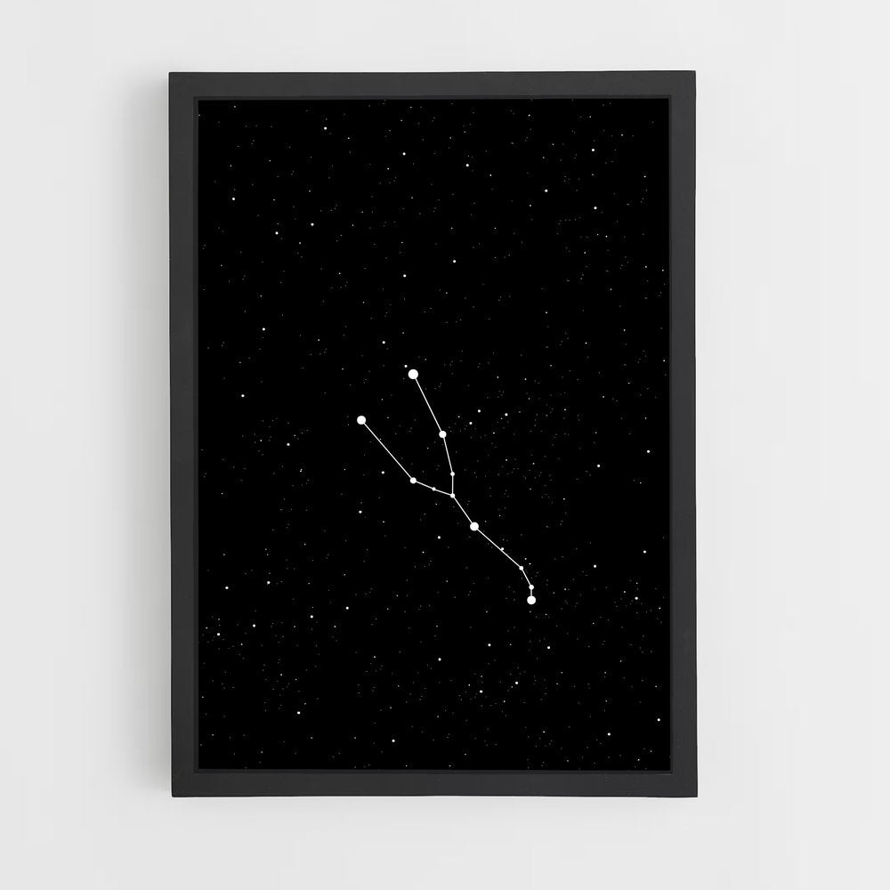 ap-taurus-2 cadre Noir