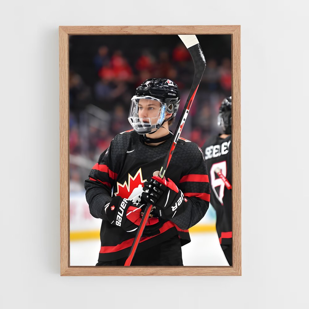 ap-team canada hockey-2 cadre Bois clair