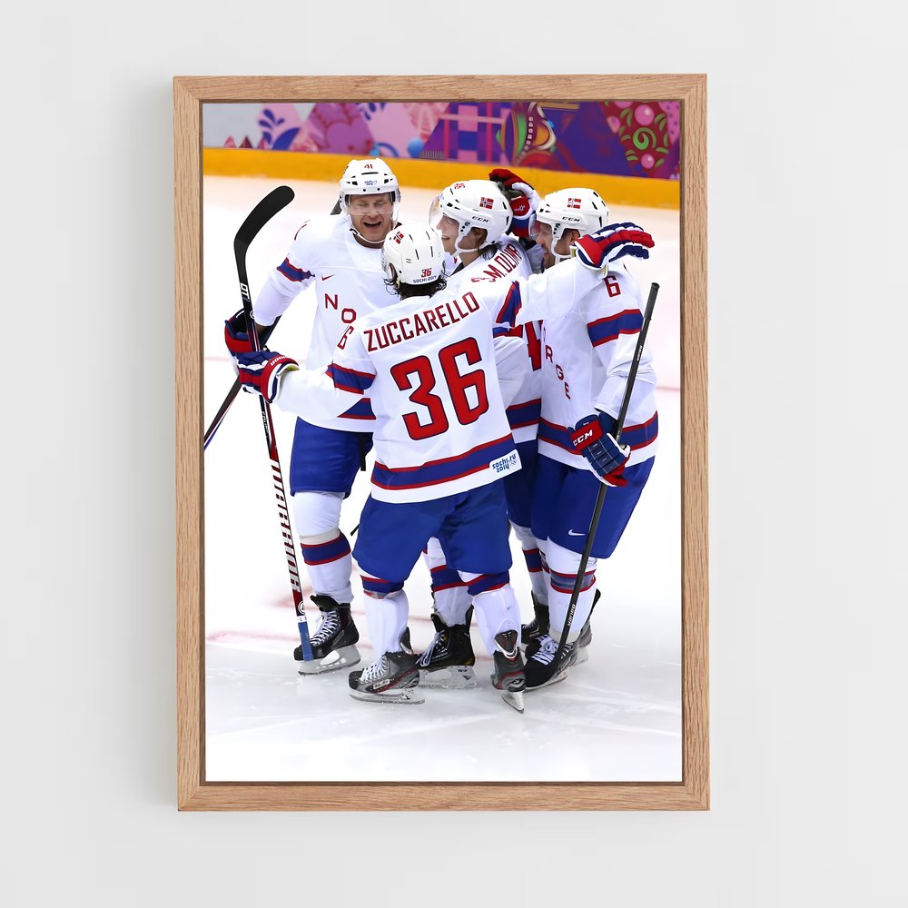 ap-team norway hockey-1 cadre Bois clair