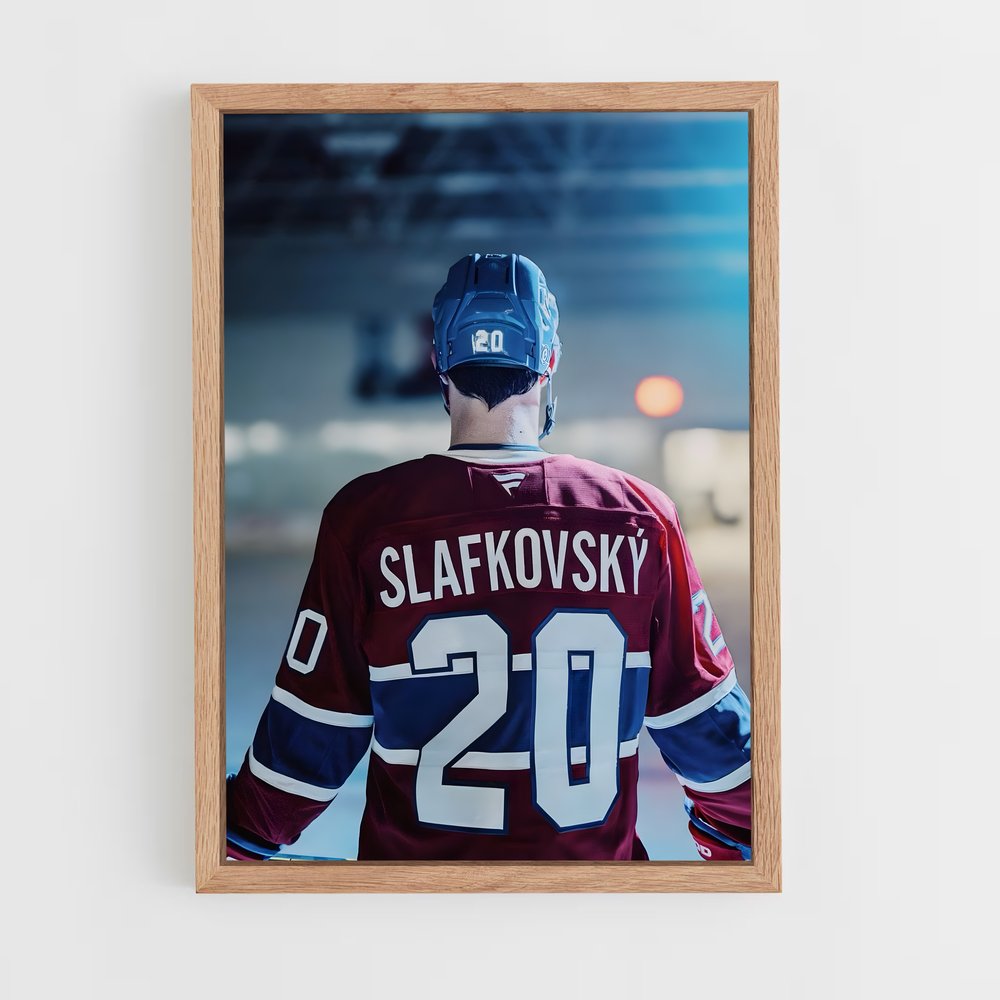 ap-team slovakia hockey-2 cadre Bois clair