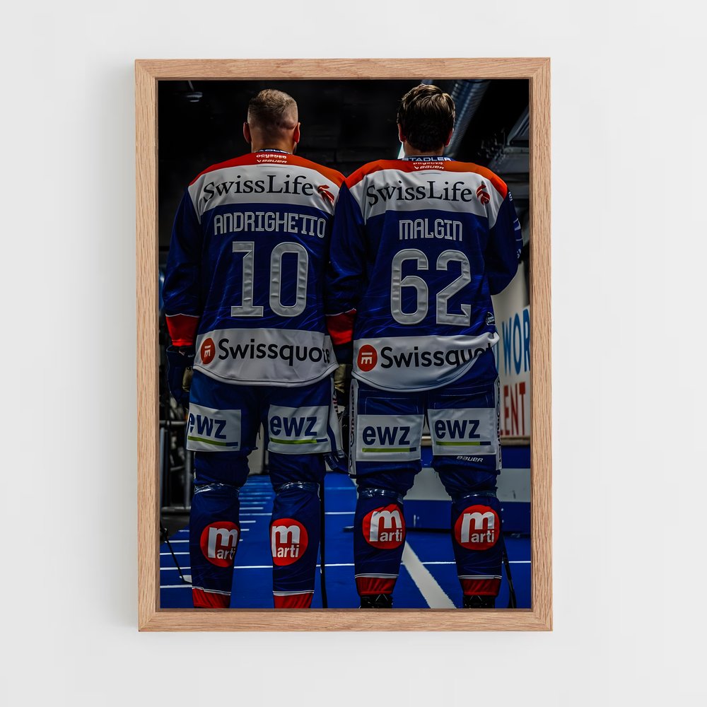 ap-team switzerland hockey-1 cadre Bois clair