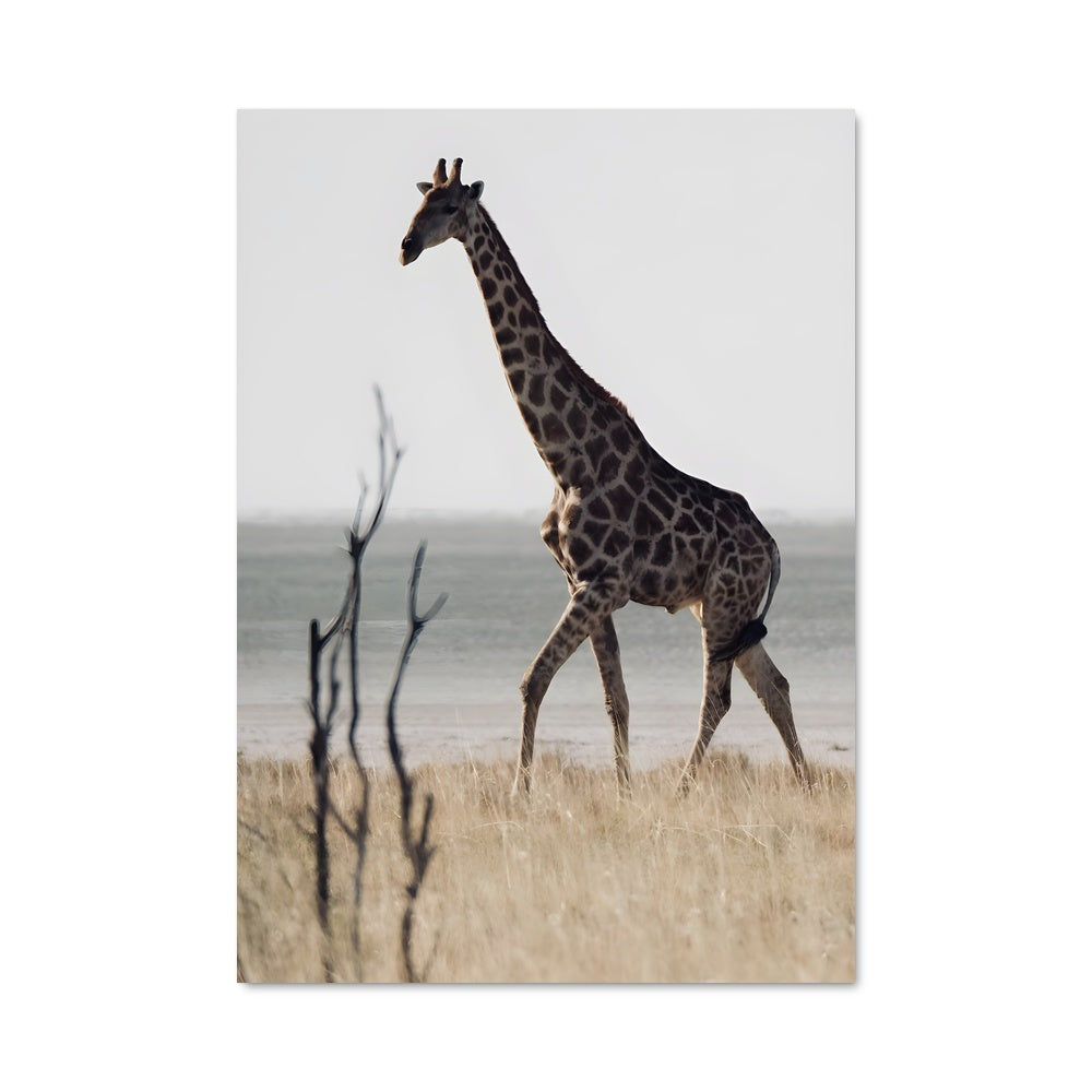 Poster Teyateyaneng 86582