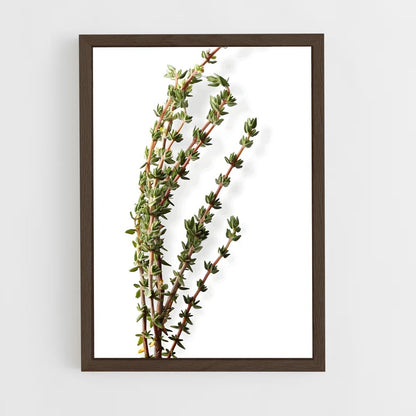 ap-thyme-4 cadre Bois foncé