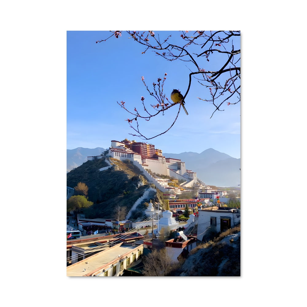 Poster Tibet 87895