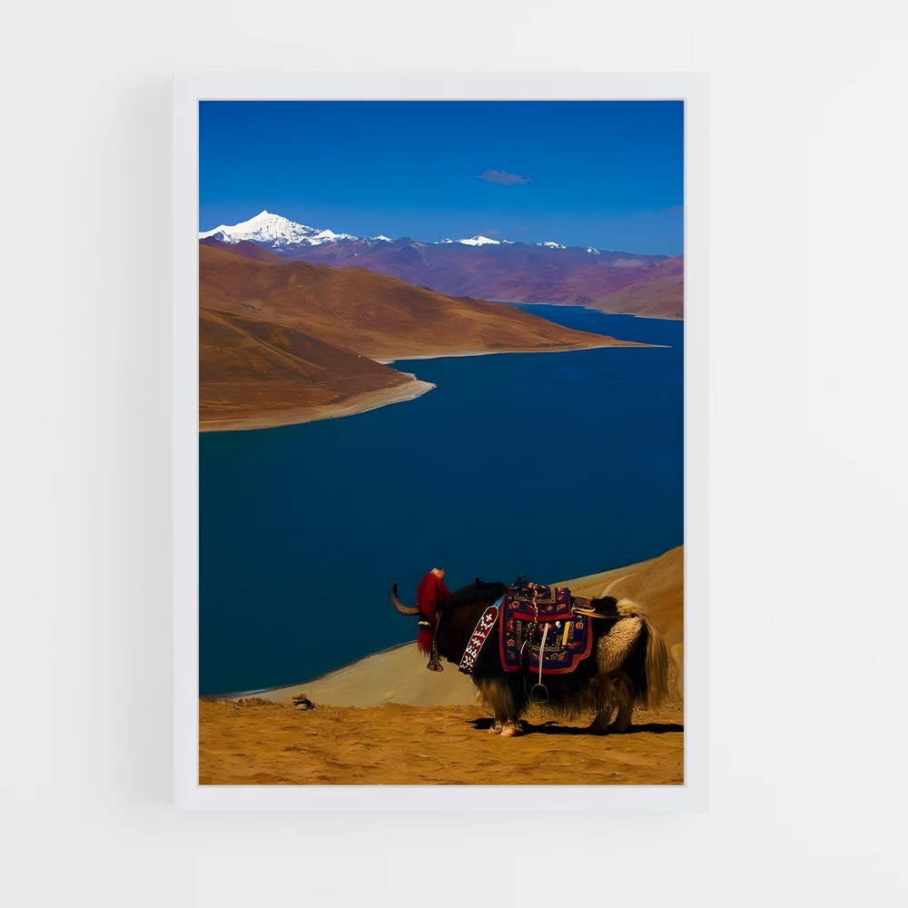 ap-tibet-6 cadre Blanc