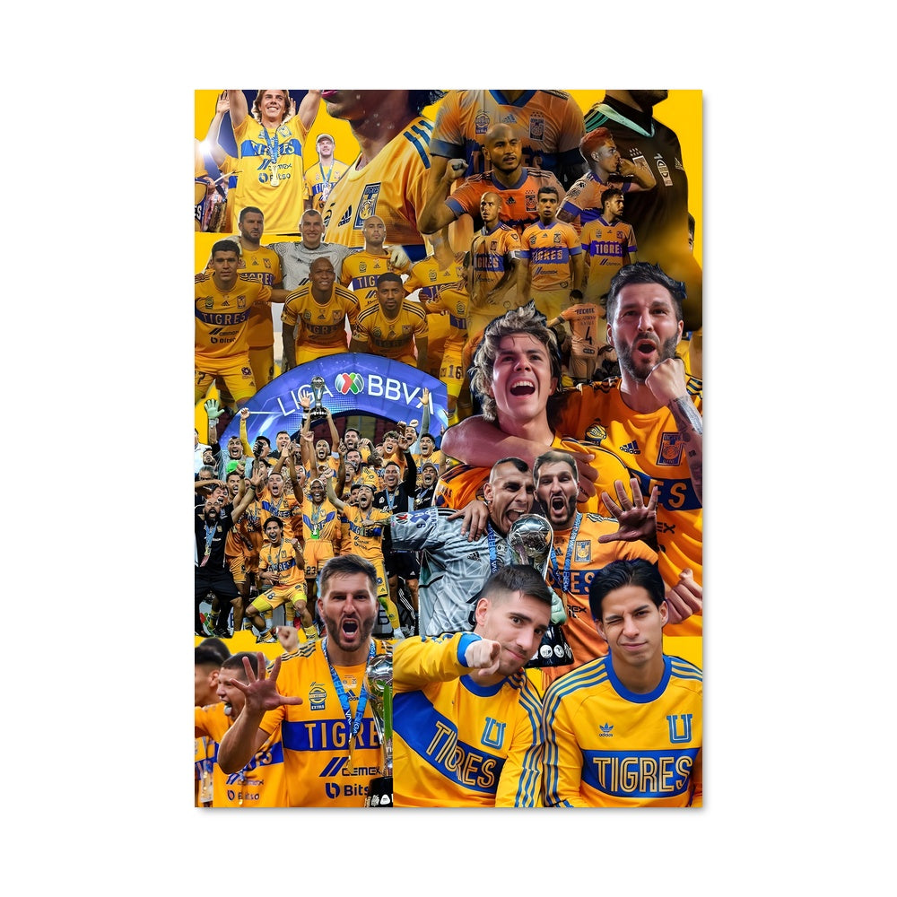 Poster L'Esprit des Tigres