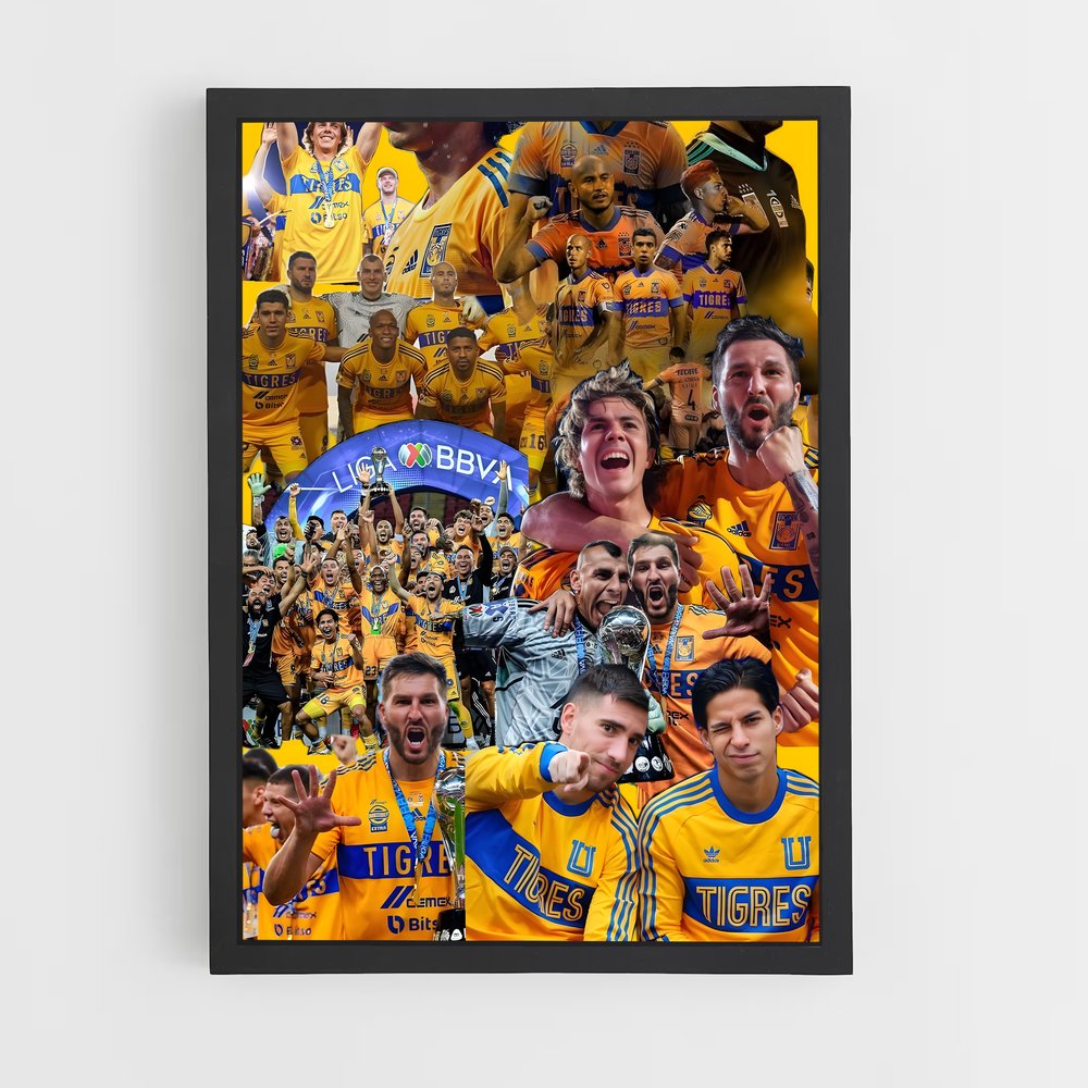 ap-tigres uanl-6 cadre Noir