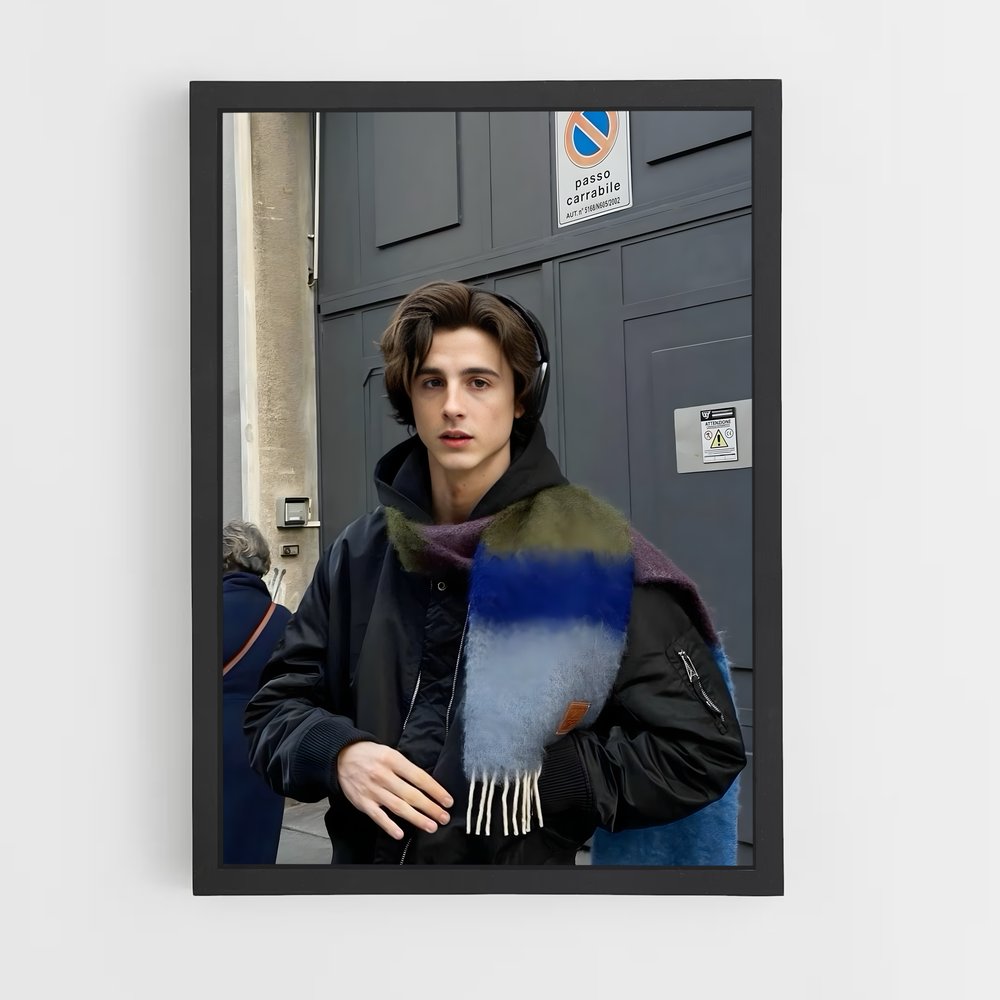 ap-timothee chalamet-1 cadre Noir