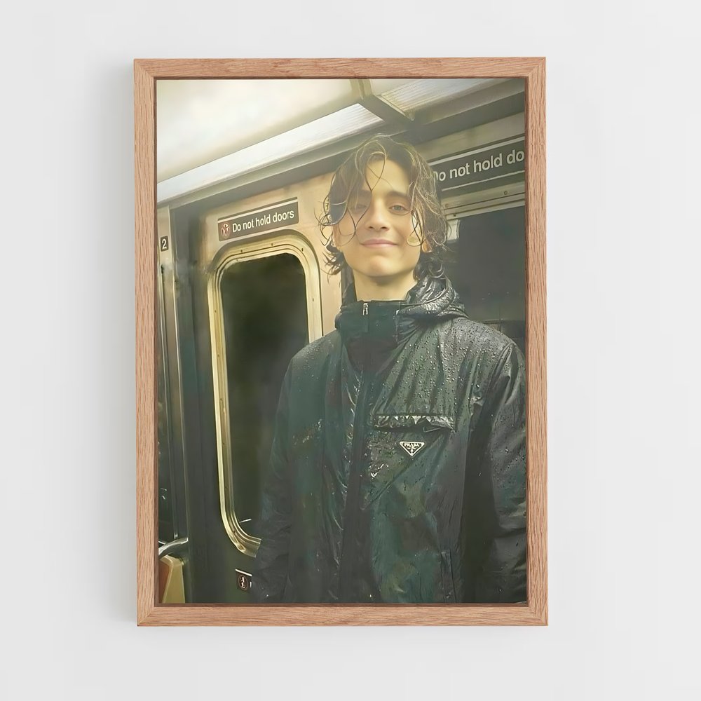 ap-timothee chalamet-3 cadre Bois clair