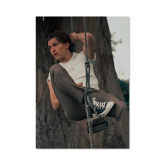 Poster Spider Swing