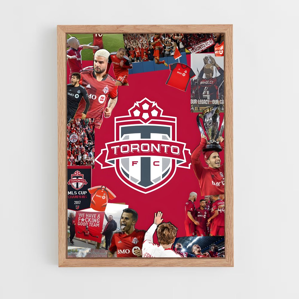 ap-toronto fc-4 cadre Bois clair