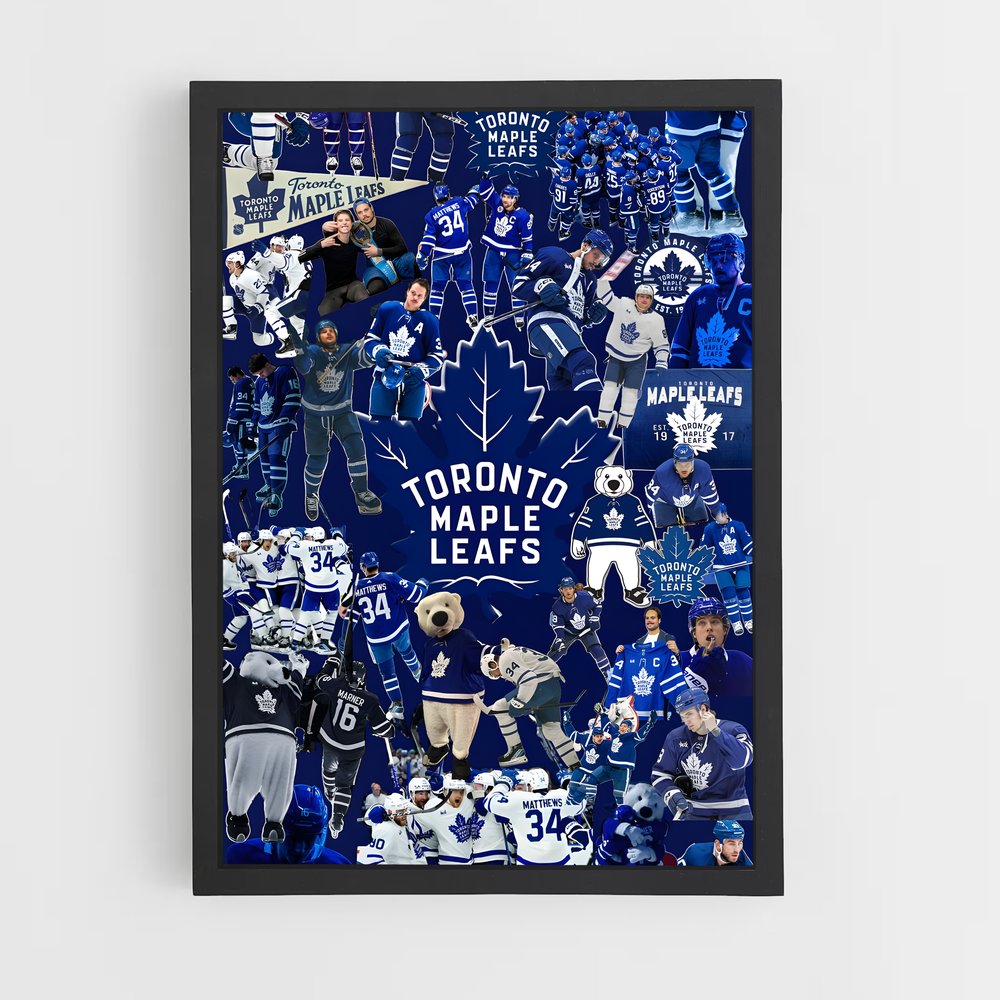 ap-toronto maple leafs-1 cadre Noir