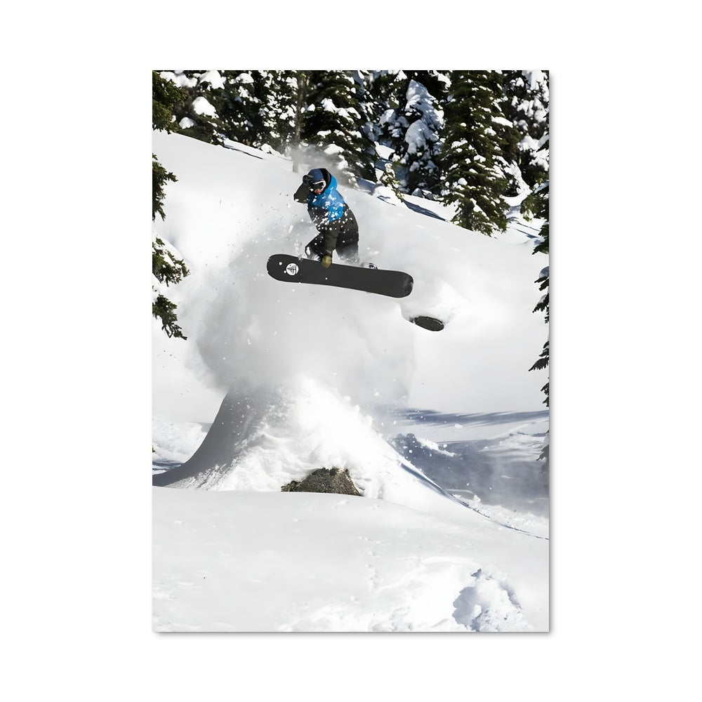 Poster Trickster sur Neige