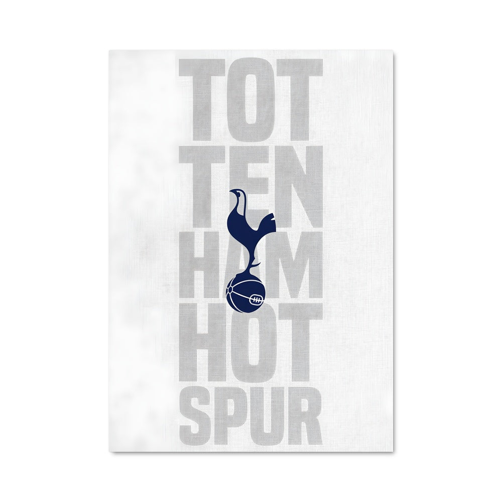Poster Tottenham hotspur fc 73314