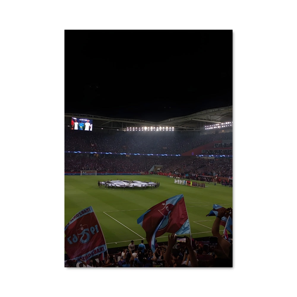 Poster Vue d'Ensemble au Toyota Stadium
