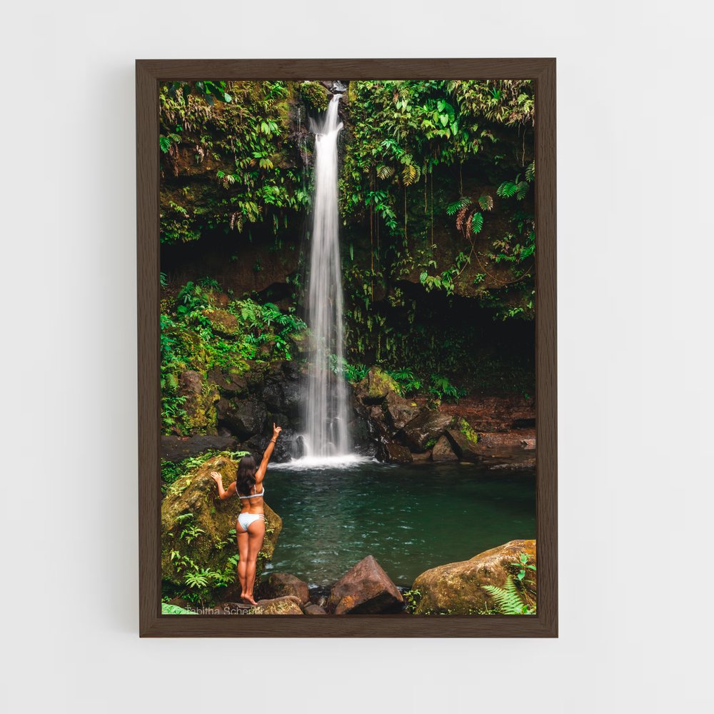 ap-trafalgar falls-6 cadre Bois foncé