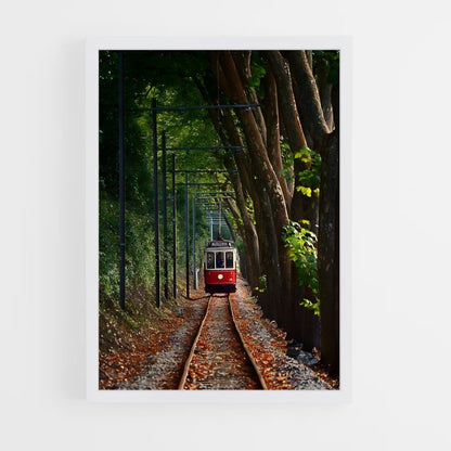ap-trams-5 cadre Blanc