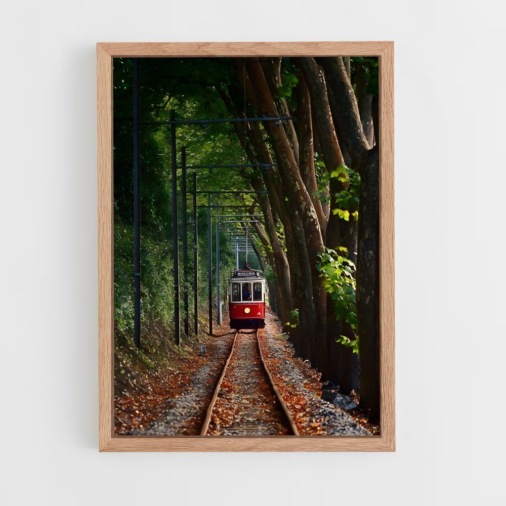 ap-trams-5 cadre Bois clair