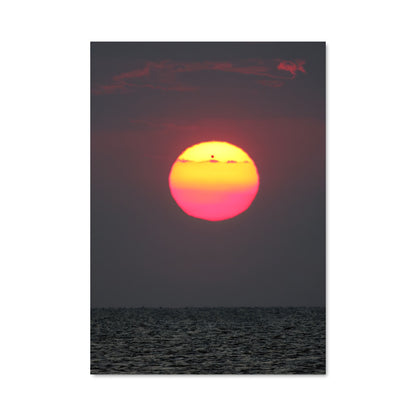 Poster Transit of venus 98166