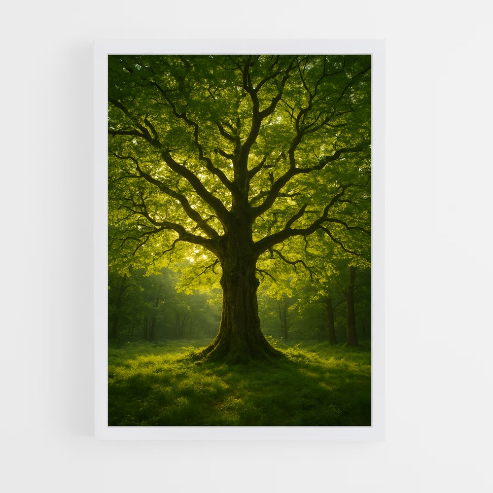 ap-trees-12 cadre Blanc
