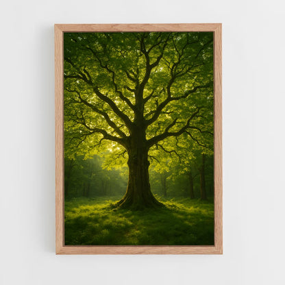 ap-trees-12 cadre Bois clair